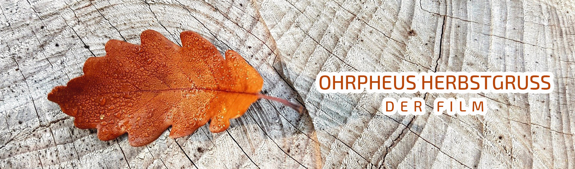 OHRpheus Herbstgruß Slider
